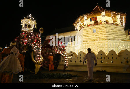 Le Sri Lanka. Août 25, 2018. Les éléphants décorée pour l'Esala Perahera festival est passé chef de Temple Bouddhiste Sri-lankais de la dent dans l'ancienne capitale de la colline de Kandy, quelques 116 km de Colombo le 25 août 2018. Le festival comporte un cortège de nuit, danseurs de Kandy aménagés, incendie des musiciens traditionnels, les artistes interprètes ou exécutants et les éléphants incendie acrobatique, rassemblant des milliers de touristes et des spectateurs de partout dans l'île. Credit : Pradeep Dambarage/Pacific Press/Alamy Live News Banque D'Images