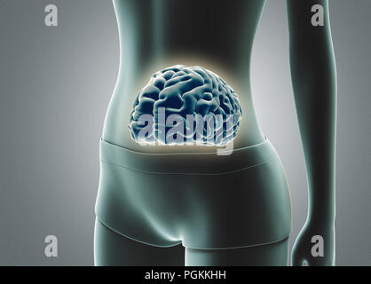Cerveau humain dans l'estomac, le rendu 3d illustration Banque D'Images
