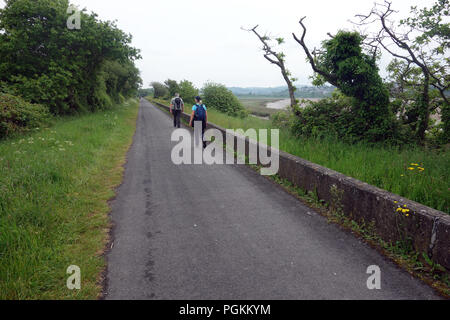 Un couple en train de marcher sur la piste de l'ancienne ligne de chemin de fer entre Braunton & Barnstaple sur le chemin côtier du sud-ouest, Devon, Angleterre, Royaume-Uni. Banque D'Images