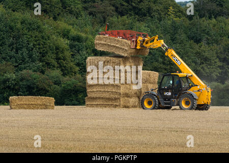 Ce qui porte à la récolte. Un tracteur chargement des bottes de paille sur une remorque dans un champ dans le Hampshire, au Royaume-Uni, en août Banque D'Images