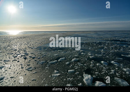 Les glaces à la dérive près de la calotte glaciaire arctique, Nordaustlandet Svalbard Austfonna, archipel, Norvège Banque D'Images