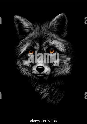 Portrait d'une tête de renard sur fond noir Illustration de Vecteur