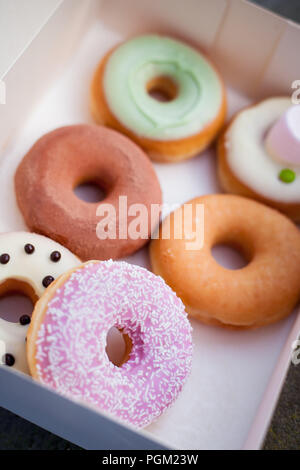 6 donuts colorés dans la case Banque D'Images
