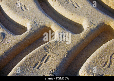 Des traces de pneus sur le sable jaune, Close up, matin, l'été Banque D'Images