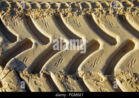 Des traces de pneus sur le sable jaune, matin, l'été Banque D'Images