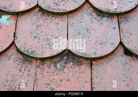 Close-up du pavillon recouvert de tuiles de queue de castor cultivées avec de la mousse et les lichens Banque D'Images