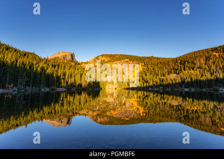 Trembles en couleurs d'automne au lac de l'ours dans le Rocky Mountain National Park, Colorado, USA Banque D'Images