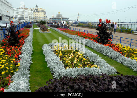 Lits de fleurs colorées sur le front, Eastbourne, East Sussex, Angleterre Banque D'Images