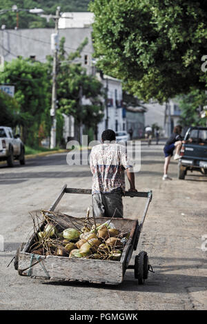 Homme vendant des noix de coco fraîches à partir d'un chariot à main à San Juan Del sur au Nicaragua Banque D'Images