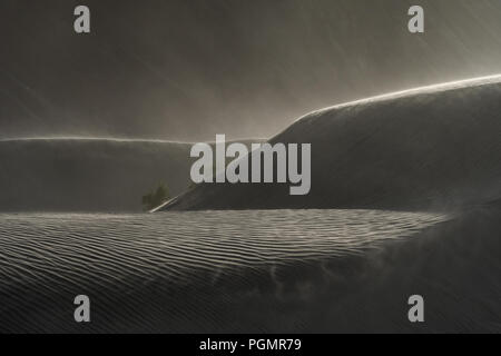 Une tempête de sable dans les dunes de sable au milieu des montagnes de l'Himalaya à la vallée de Nubra, Ladakh, Inde Banque D'Images