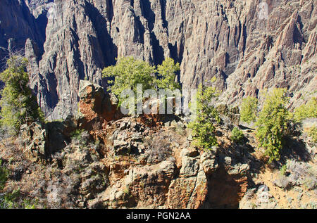 Black Canyon of the Gunnison Gunnison au point Banque D'Images