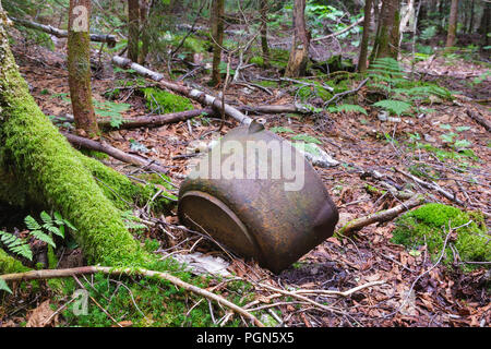 Artéfact à l'ancien camp de Johnson dans l'Pemigewasset Wilderness, New Hampshire. Banque D'Images