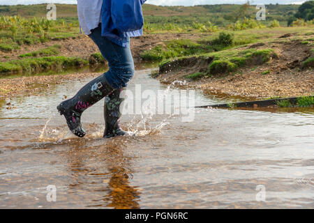 Femme portant des bottes Wellington floral noir marcher dans l'eau dans la campagne anglaise, UK Banque D'Images