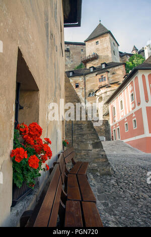 Géranium (Pelargonium) rouge sur la fenêtre du château, Château Orava (Slovaquie). Banque D'Images