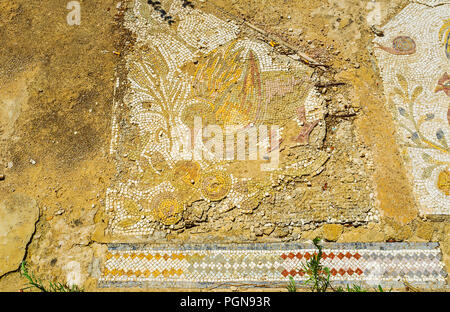 CARTHAGE, TUNISIE - 31 août 2015 : Le fragment de mosaïque avec le canard et de fleurs colorées sur le sol en site archéologique de villas romaines Banque D'Images