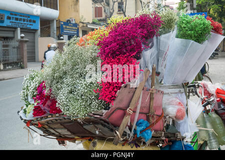 Hanoi, Vietnam - 1 novembre 2017 : vendeurs de rue vendant différents types de fleurs de leur vélo dans le vieux quartier de Hanoi. Banque D'Images