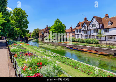 Plates amarrés sur la grande rivière stour en face de maisons à colombage de Westgate park Canterbury Banque D'Images