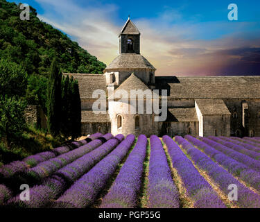 FR - Vaucluse : Abbaye Notre Dame de Sénanque près de Gordes Banque D'Images