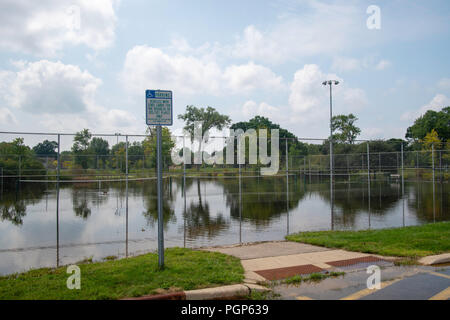 Des pluies excessives créent des conditions d'inondation dans la région de Madison, Wisconsin, USA. Avis de Tenney Park sous l'eau. Banque D'Images