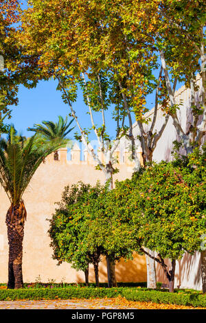 Maroc jardin clos avec palmiers, orangers et de haies dans une conception formelle. Point de vue est debout à l'intérieur des murs. Banque D'Images