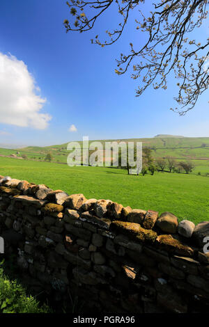 Vue sur meadows dans Raydale, Yorkshire Dales National Park, England, UK Banque D'Images