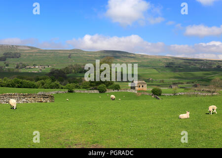 Vue d'été plus de Wensleydale, Hawes, Yorkshire Dales National Park, England, UK Banque D'Images