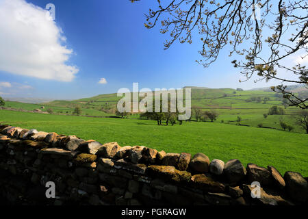 Vue sur meadows dans Raydale, Yorkshire Dales National Park, England, UK Banque D'Images