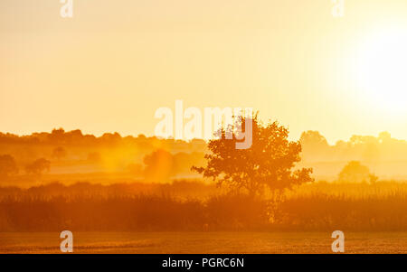 Un matin tôt la fin de l'été lever du soleil à Hough sur la Colline, Grantham, Lincolnshire, Royaume-Uni Banque D'Images