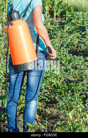 Femme jardinier est la protection des plantes de pommes de terre les maladies fongiques ou la vermine avec pulvérisateur à pression dans le jardin Banque D'Images