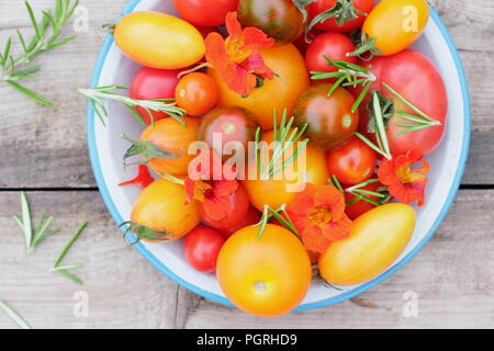 Solanum lycopersicum. Variétés fraîchement récolté de heirloom tomatoes avec fleurs comestibles, capucine et romarin plat en émail Banque D'Images