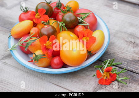 Solanum lycopersicum. Variétés fraîchement récolté de heirloom tomatoes avec fleurs comestibles, capucine et romarin plat en émail Banque D'Images