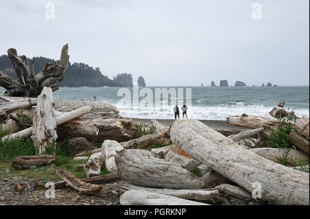 Première plage, LaPush, Olympic National Park, États-Unis Banque D'Images