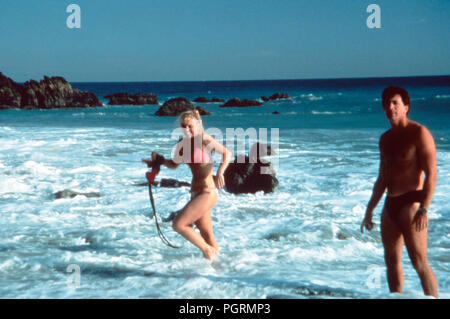 Hardbodies, USA 1984, Regie : Mark Griffiths, Szenenfoto Banque D'Images