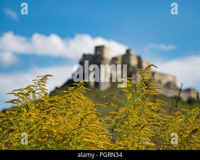 Spissky Hrad. Le château de Spis, Monument culturel national (l'UNESCO. Château de Spis. L'un des plus grand château d'Europe centrale (Slovaquie). Banque D'Images