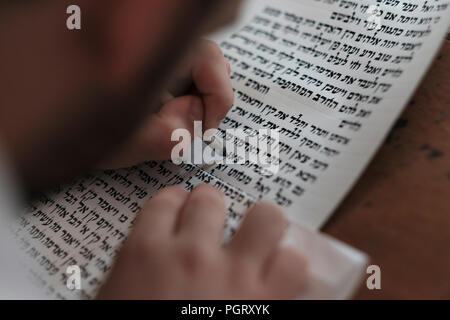 Un juif religieux 'tam' gaucher calligraphe écrit hébreu versets de la Genèse le premier livre de l'ecriture biblique sur parchemin dans les "quatre synagogues séfarades' à la vieille ville de Jérusalem Israël Banque D'Images