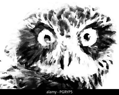 Portrait stylisé de vecteur de demi-teintes noir et blanc Illustration de Vecteur