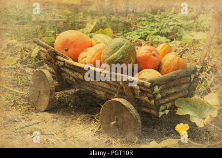 Image Retro de vieux bois panier avec des citrouilles. Photo dans le style rétro. Ajouté la texture de papier Banque D'Images