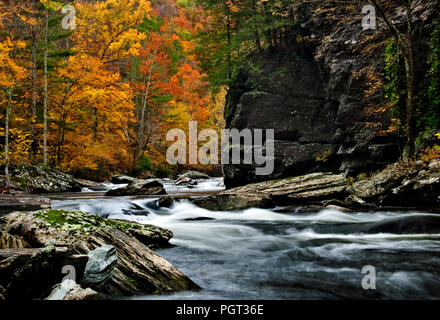 Rivière Tellico couleurs d'automne avec vitesse d'obturation lente de l'eau brouillée dans les rapides. Banque D'Images