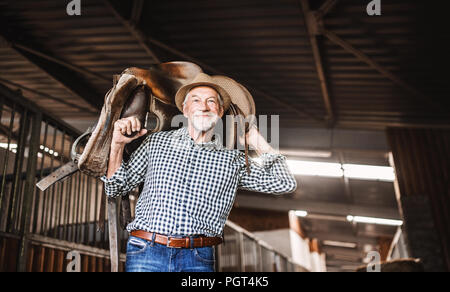 Une happy senior man with a hat portant une selle de cheval sur ses épaules dans une étable. Banque D'Images