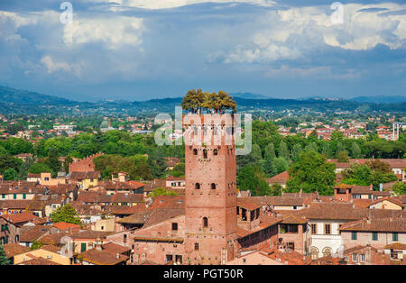 La célèbre Tour Guinigi médiévale caractéristique et de chênes et les touristes en haut, érigée au 14ème siècle dans le centre historique de la ville Banque D'Images