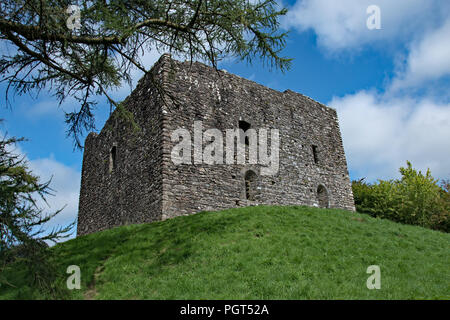 B-3660, B-3660, Château de l'ouest du Devon, UK Banque D'Images