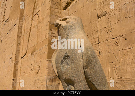 Symbole égyptien Sculpté en pierre statue d'Horus comme un pèlerin, avec hiéroglyphes sur pylône du Temple d'Edfou, Egypte, Afrique du Sud Banque D'Images