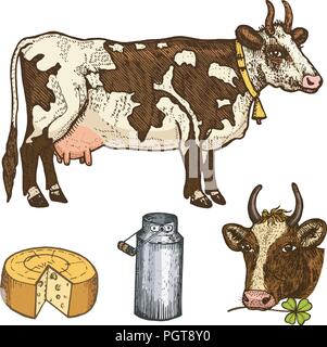 Ensemble d'alimentation lait, produits laitiers, le yogourt et le fromage, la crème glacée, bouteille, jug, beurre et lait fouetté. vache, pouvez, pays ou ferme rustique, alimentation saine. gravés à la main dans de vieux croquis. Illustration de Vecteur