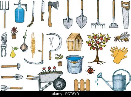 Ensemble d'outils de jardinage ou d'articles. enrouleur de tuyau, fourche, bêche, râteau, binette, trug, panier, tondeuse, collection d'éléments des équipements de travail. clôture pelle arrosoir scie arbre ax. gravés à la main dans de vieux croquis Illustration de Vecteur