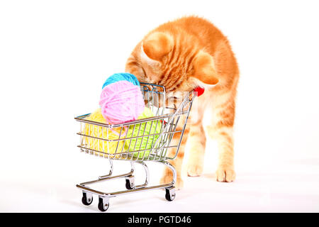 Le gingembre mackerel tabby chat jouant avec de la laine de balles dans un panier