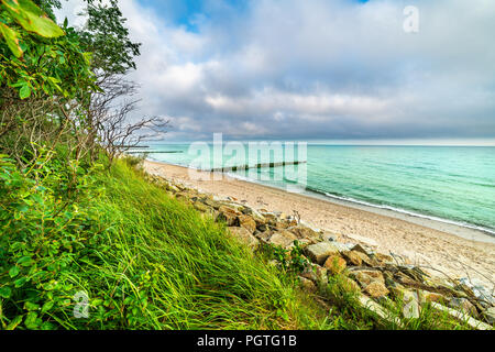 Paysage par la mer, les plantes, les pierres et le sable Banque D'Images