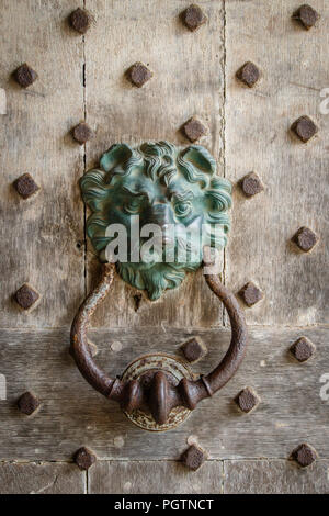 Le vert-Antique laiton patiné bronze / tête de lion heurtoir de porte de bois clouté à l'entrée du bâtiment historique Banque D'Images