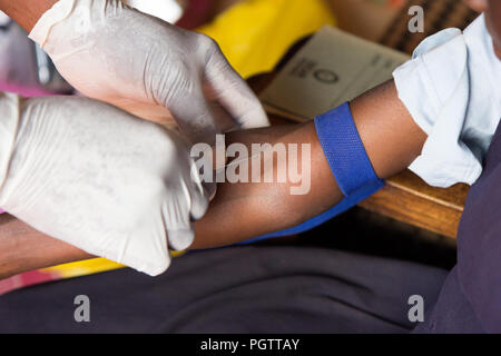 Un agent de santé de prendre un échantillon de sang de la veine cubitale en perçant la veine et la collecte de sang dans un tube à essai sous pression négative Banque D'Images