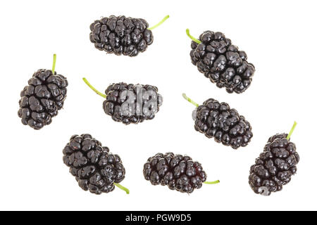 Mulberry berry isolé sur fond blanc. Vue d'en haut. Mise à plat Banque D'Images