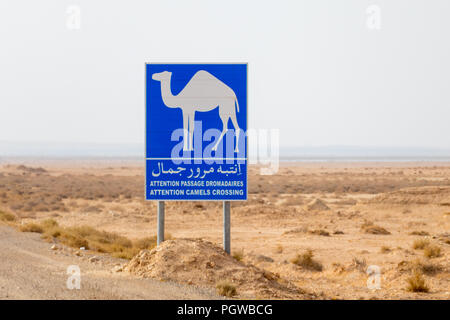 Attention chameaux crossing road sign en Tunisie, l'Afrique Banque D'Images